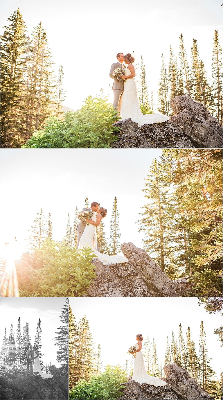 Albion Basin - Utah Wedding Photographer | Ashley DeHart