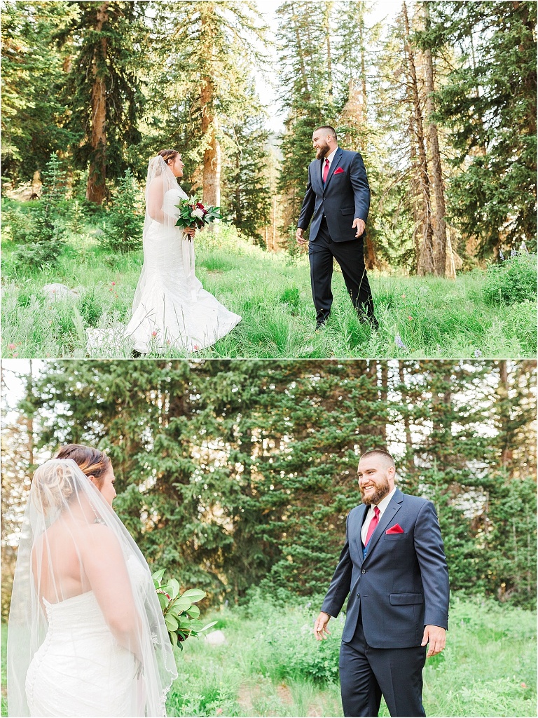 Albion Basin Formal Bridal Session, Little Cottonwood Canyon, Utah Wedding Photographer Ashley DeHart