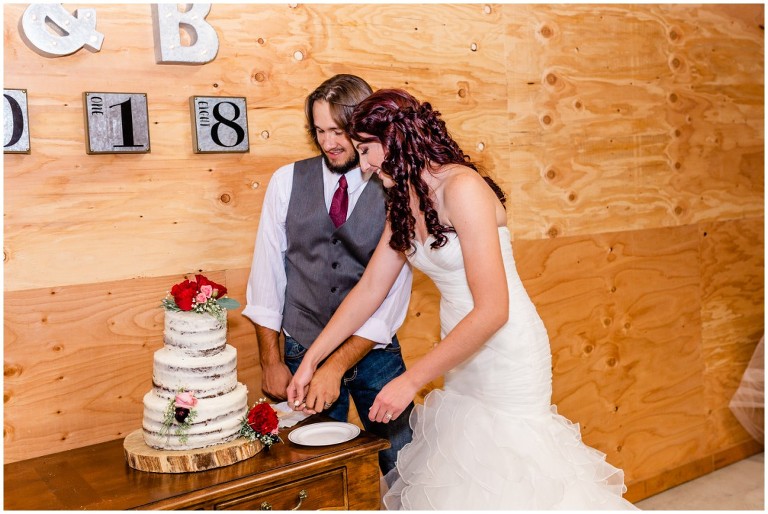 Navy and burgundy backyard wedding - Ashley DeHart Photography, Utah Wedding Photographer